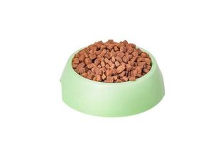 PLATO DE COMIDA PARA PERRO