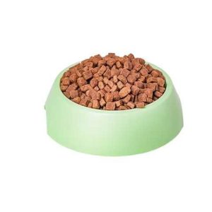 PLATO DE COMIDA PARA PERRO