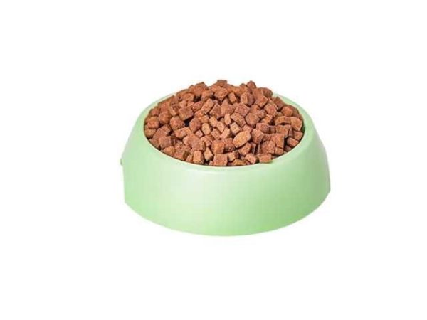 PLATO DE COMIDA PARA PERRO
