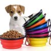 PLATO DE COMIDA PARA PERRO FLEXIBLE