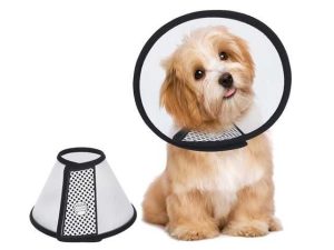 PROTECCION CANINA MEDIANA