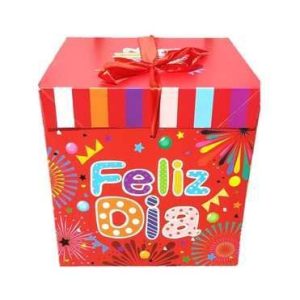 CAJA DE REGALO 30 X 30 CM