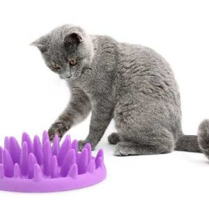 ALIMENTADOR INTERACTIVO CAT Y DOG