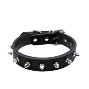 COLLAR GRANDE SMILY PET