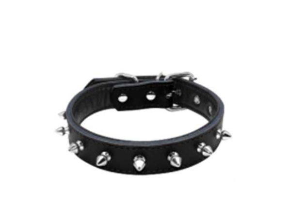 COLLAR GRANDE SMILY PET
