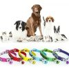 COLLAR PEQUENO COLORES