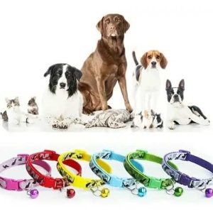COLLAR PEQUENO COLORES