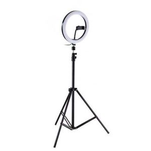 ARO DE LUZ 12"