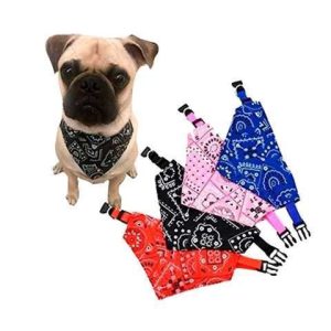 PET BANDANNA MEDIANA