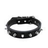 COLLAR GRANDE SMILY PET