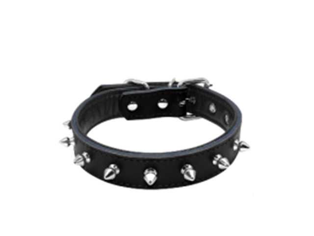 COLLAR GRANDE SMILY PET