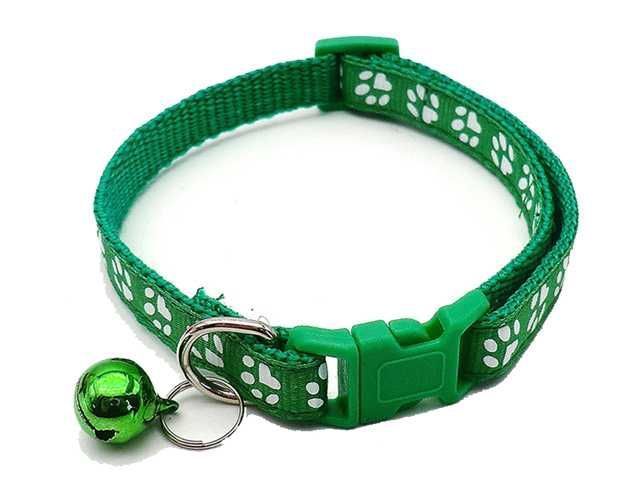 COLLAR MEDIANO COLORES