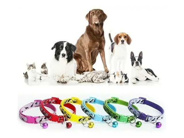 COLLAR PEQUENO COLORES