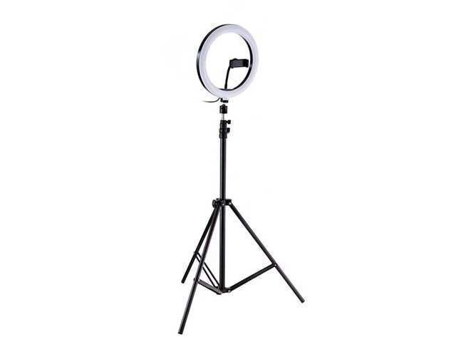 ARO DE LUZ 12"